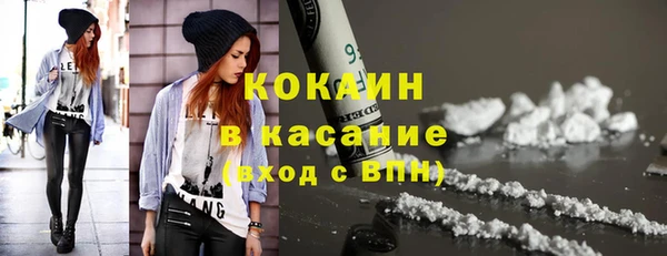индика Нягань