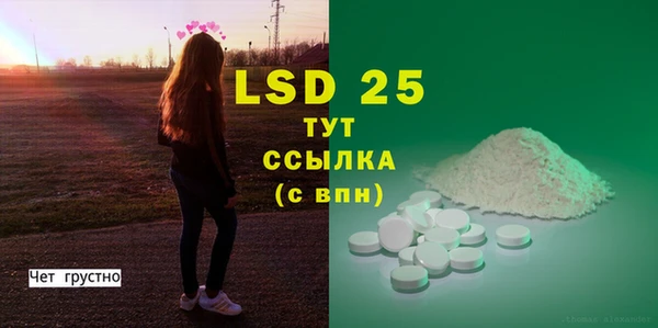 индика Нягань