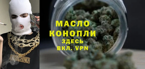 индика Нягань