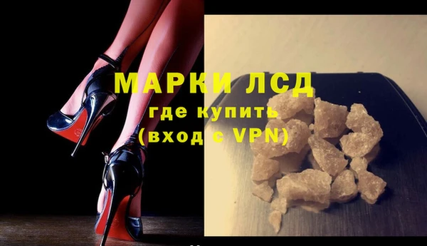 индика Нягань
