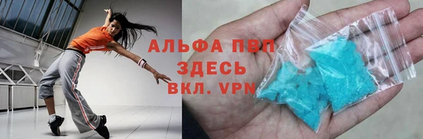 индика Нягань