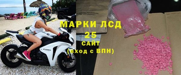 индика Нягань
