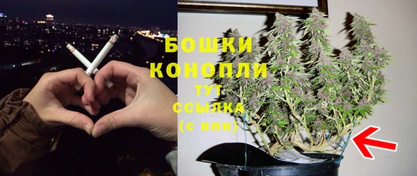 PSILOCYBIN Дмитровск