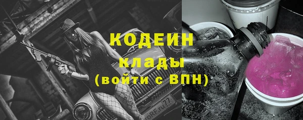 индика Нягань
