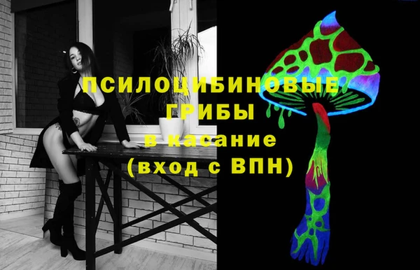 индика Нягань