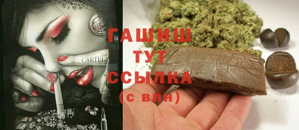 индика Нягань