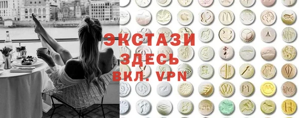 индика Нягань