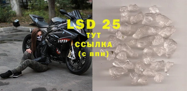 индика Нягань