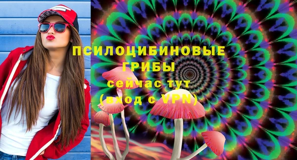мяу мяу кристалл Няндома