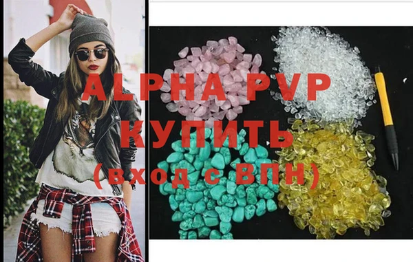 индика Нягань