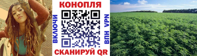 купить наркотик Кувшиново Бошки Шишки MAZAR